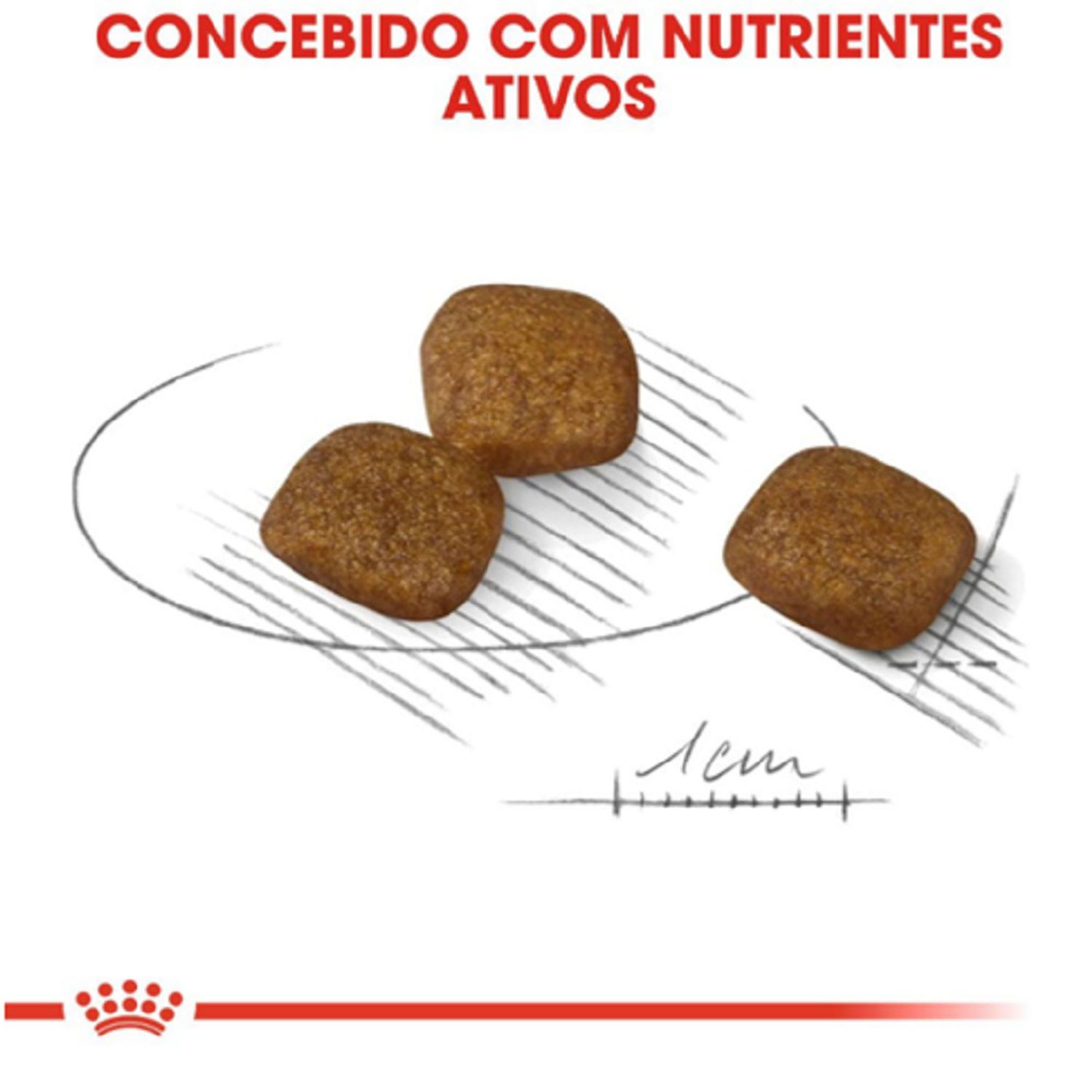 Racao-Royal-Canin-Cuidado-da-Pelagem-Caes-Adultos