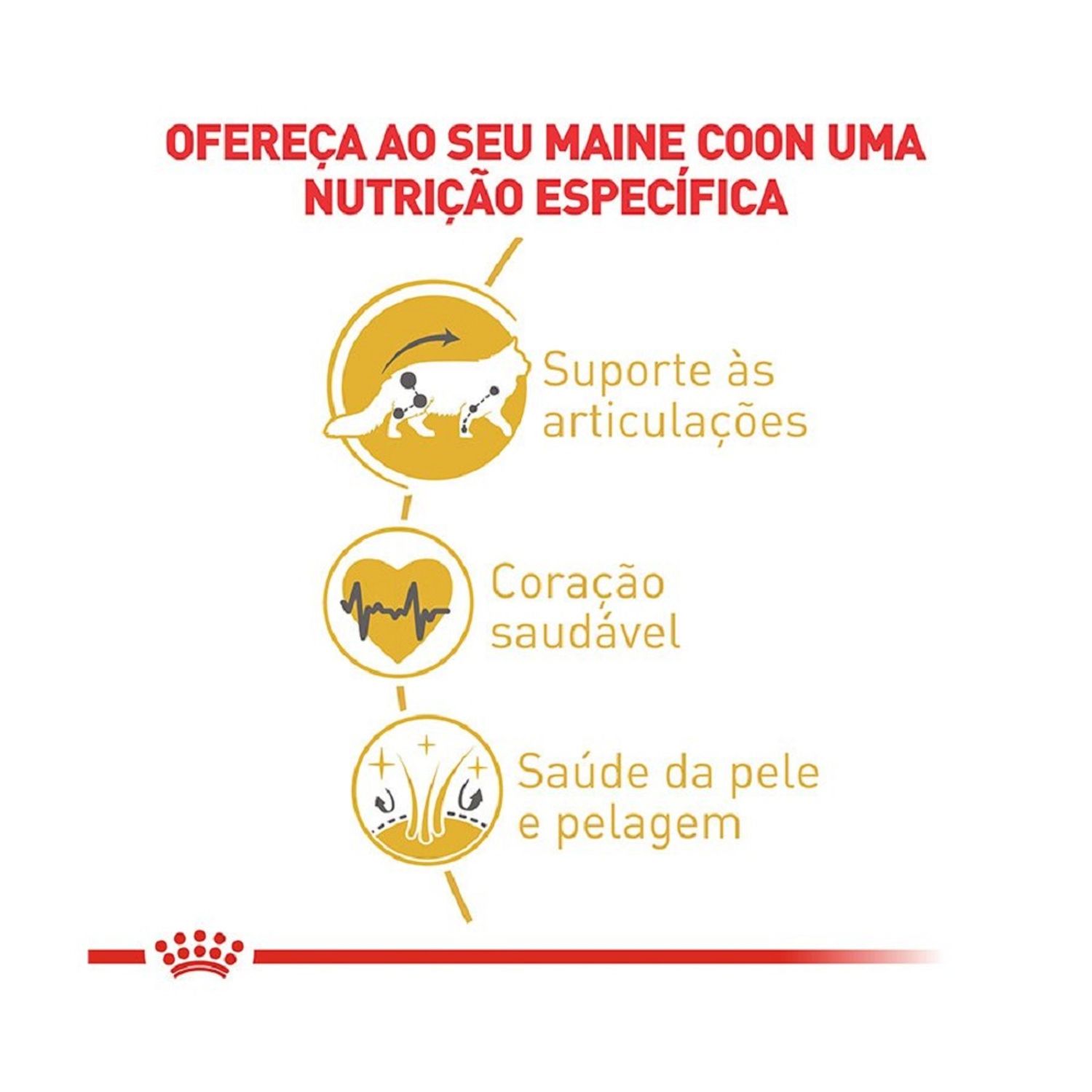 Ração Royal Canin Maine Coon Gatos Adultos Nutrição Específica