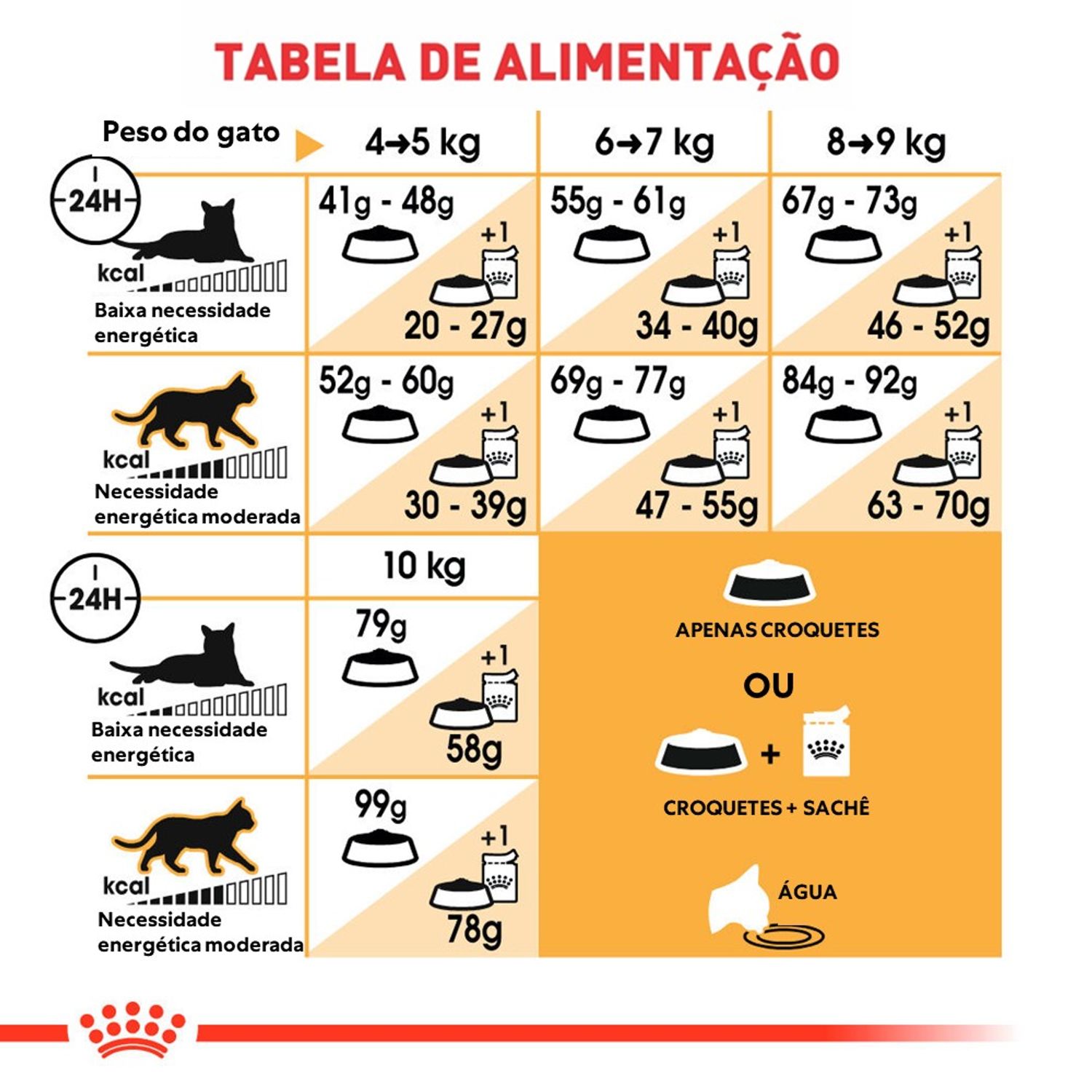 Ração Royal Canin Maine Coon Gatos Adultos Guia alimentar