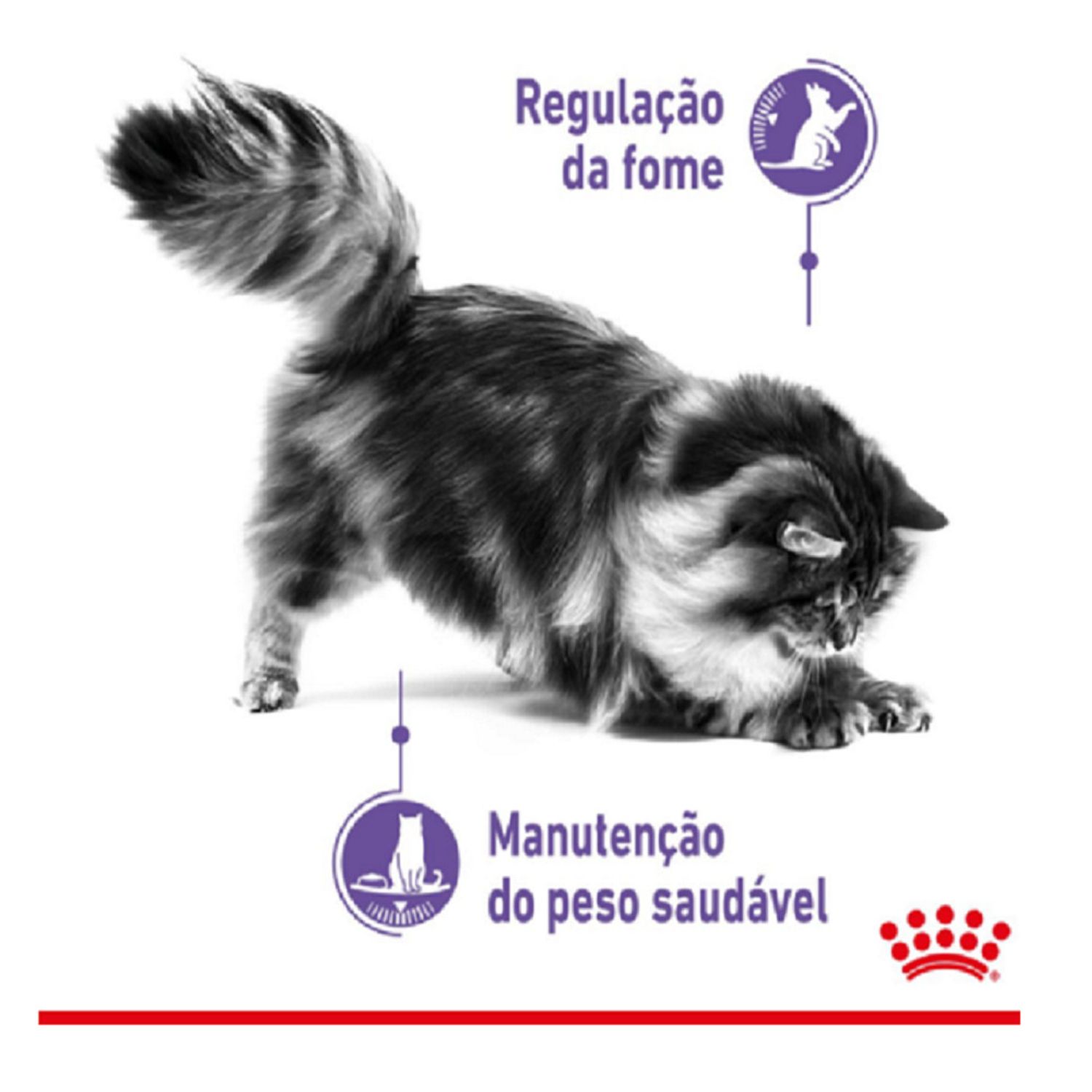 Ração Úmida Royal Canin Sachê Controle do Apetite Gatos Adultos Regulação da fome  Manutenção do Peso Saudável