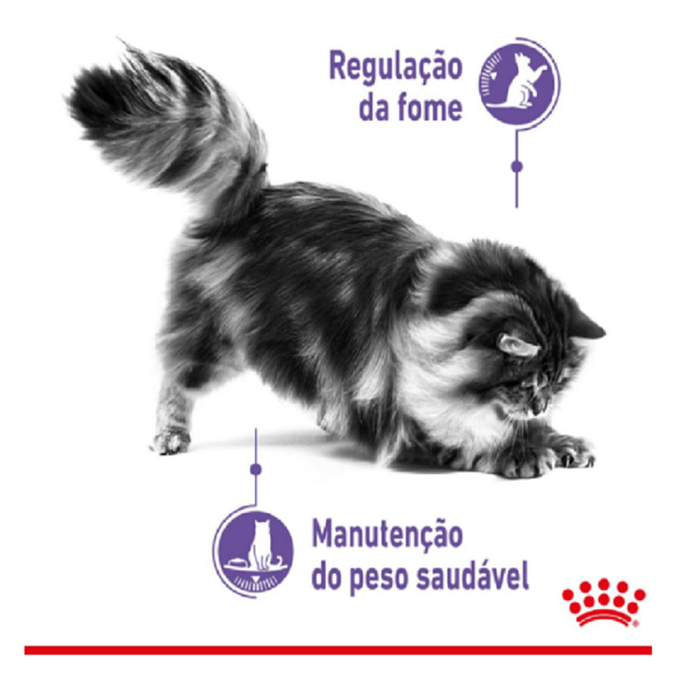 Ração Úmida Royal Canin Controle do Apetite Gatos Adultos