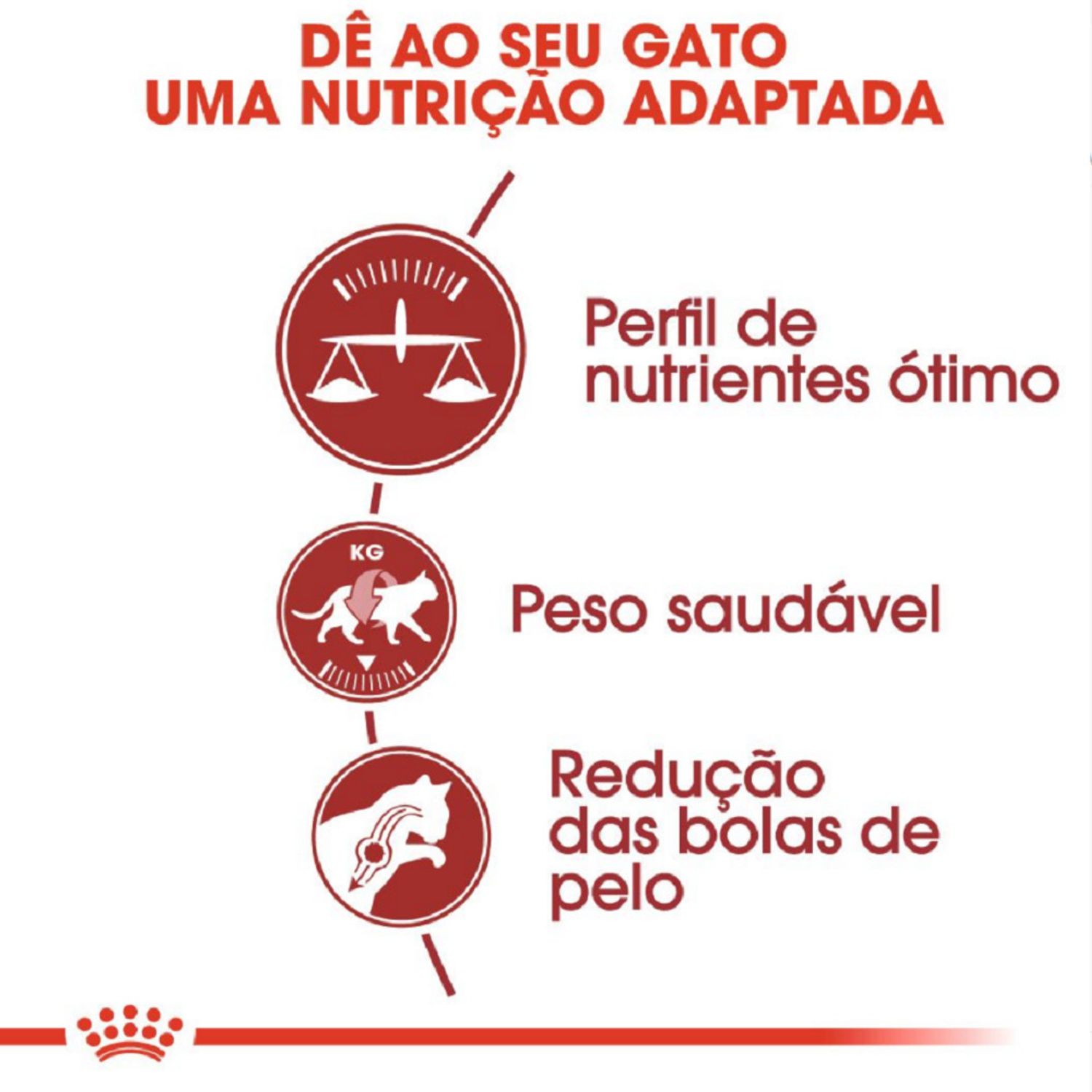 Racao-Royal-Canin-Fit-Gatos-adultos