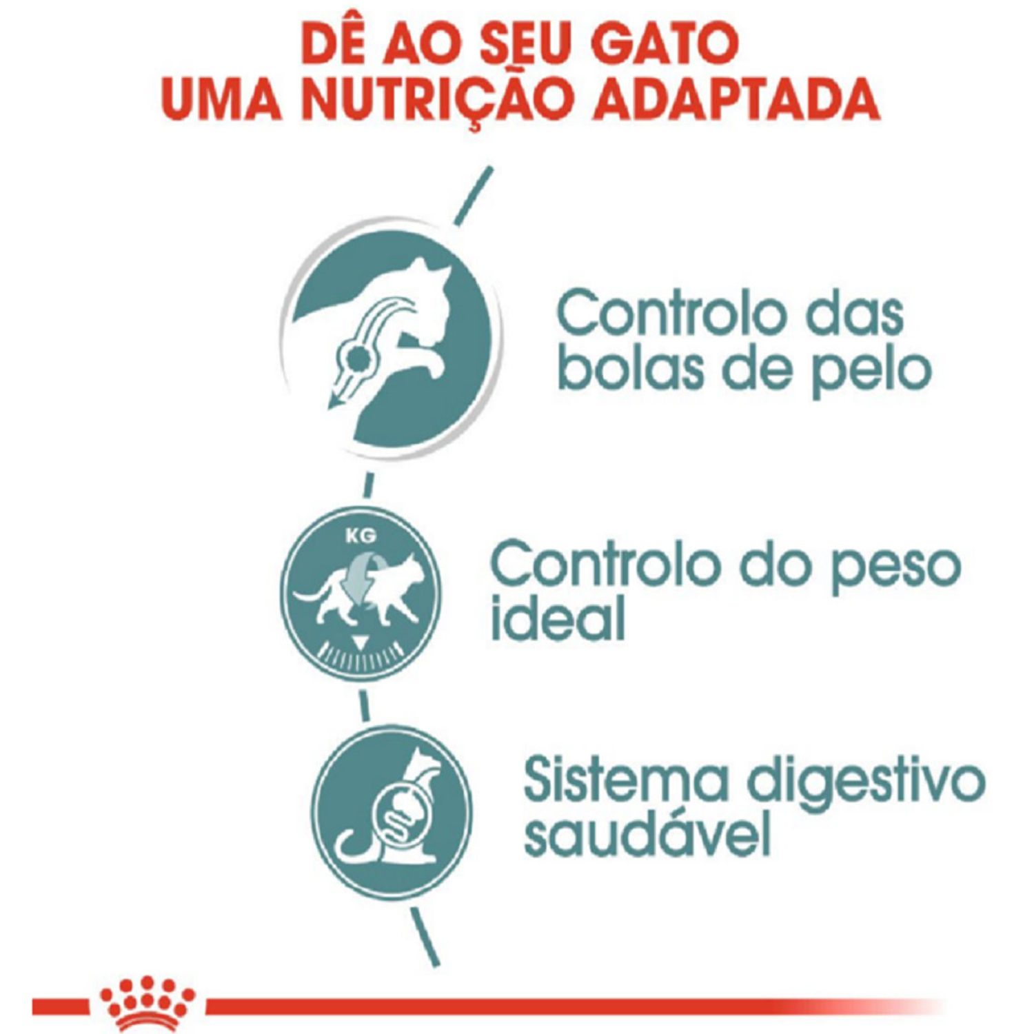 Ração Úmida Royal Canin Bolas de Pelo Gatos Adultos Nutrição Adaptada