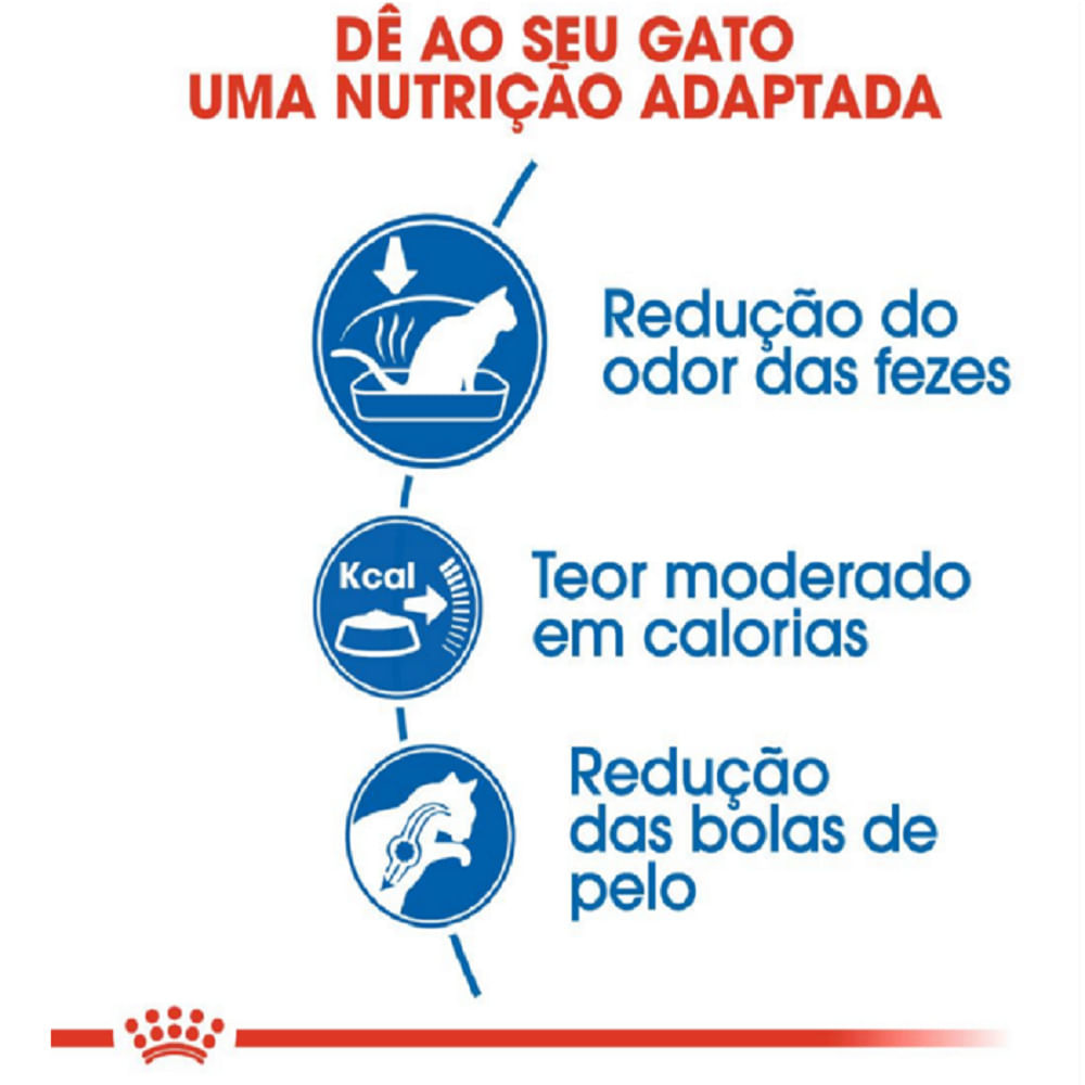 Ração Royal Canin Indoor Gatos Adultos