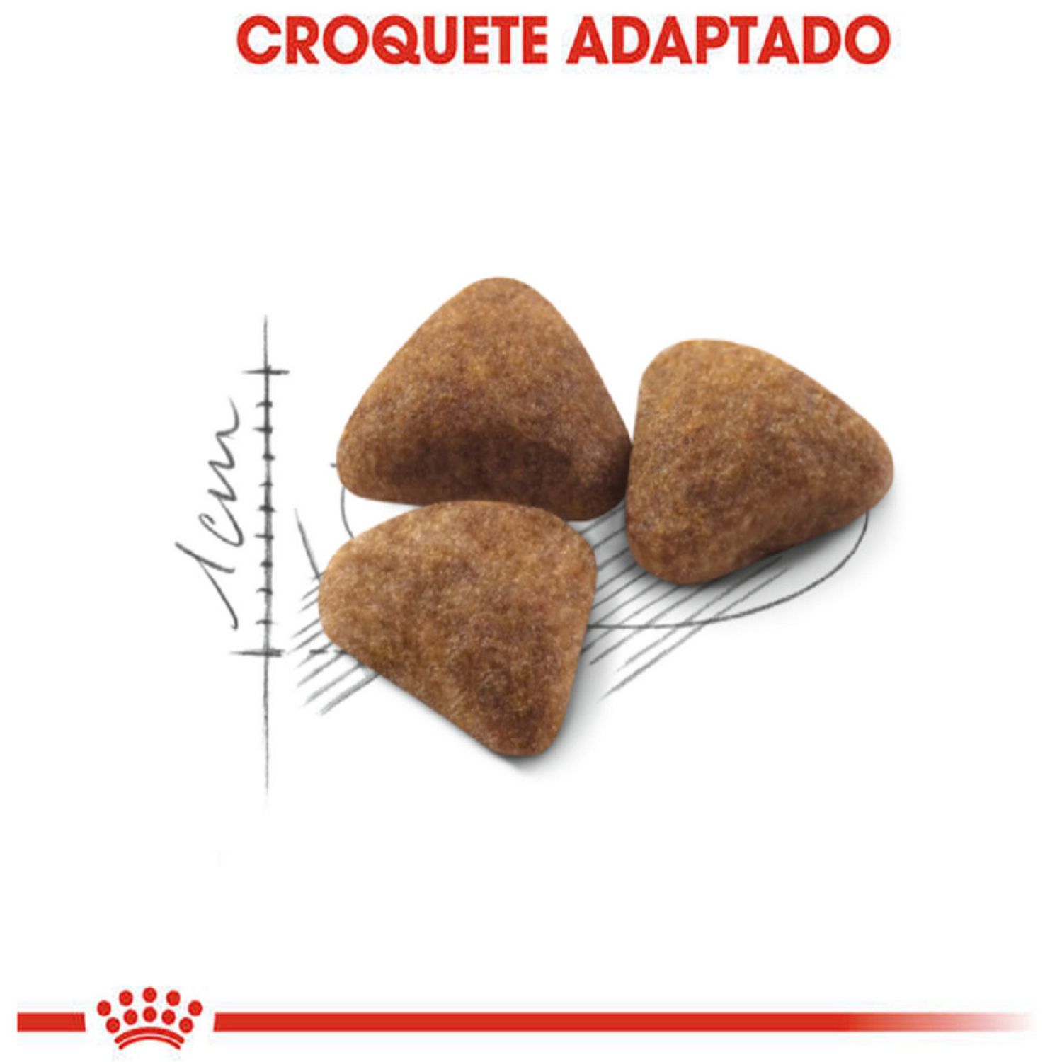 Racao-Royal-Canin-Indoor-Gatos-Adultos-croquete