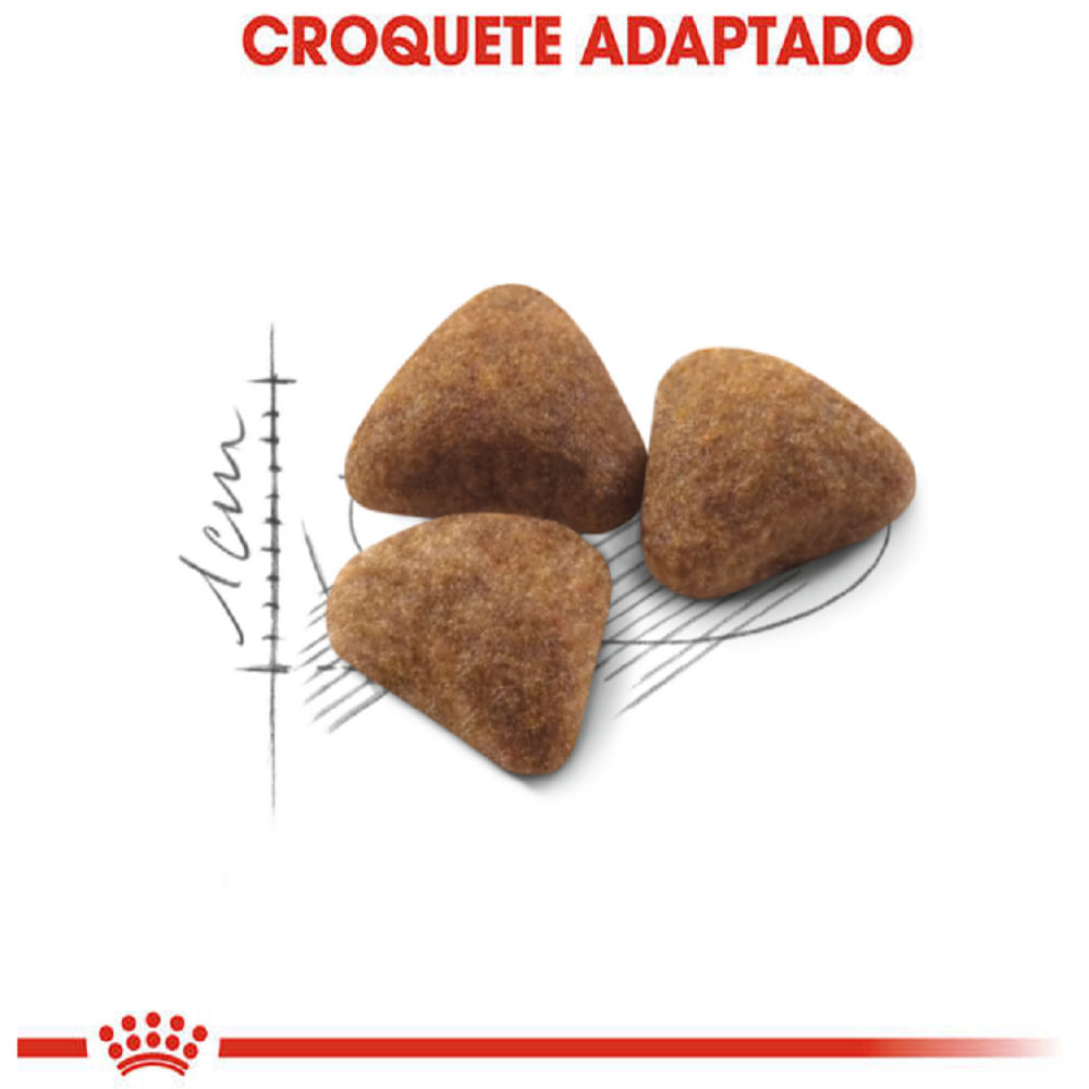 Ração Royal Canin Indoor Gatos Adultos