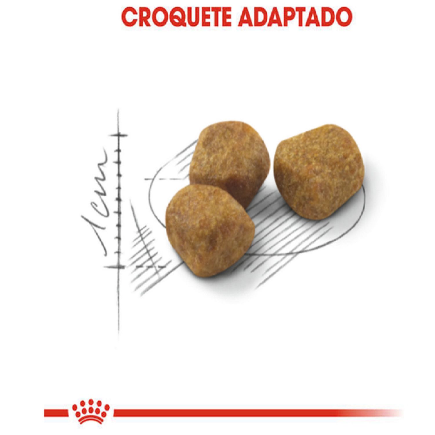 Ração Royal Canin Indoor 7 + Gatos Adultos Tamanho da Ração