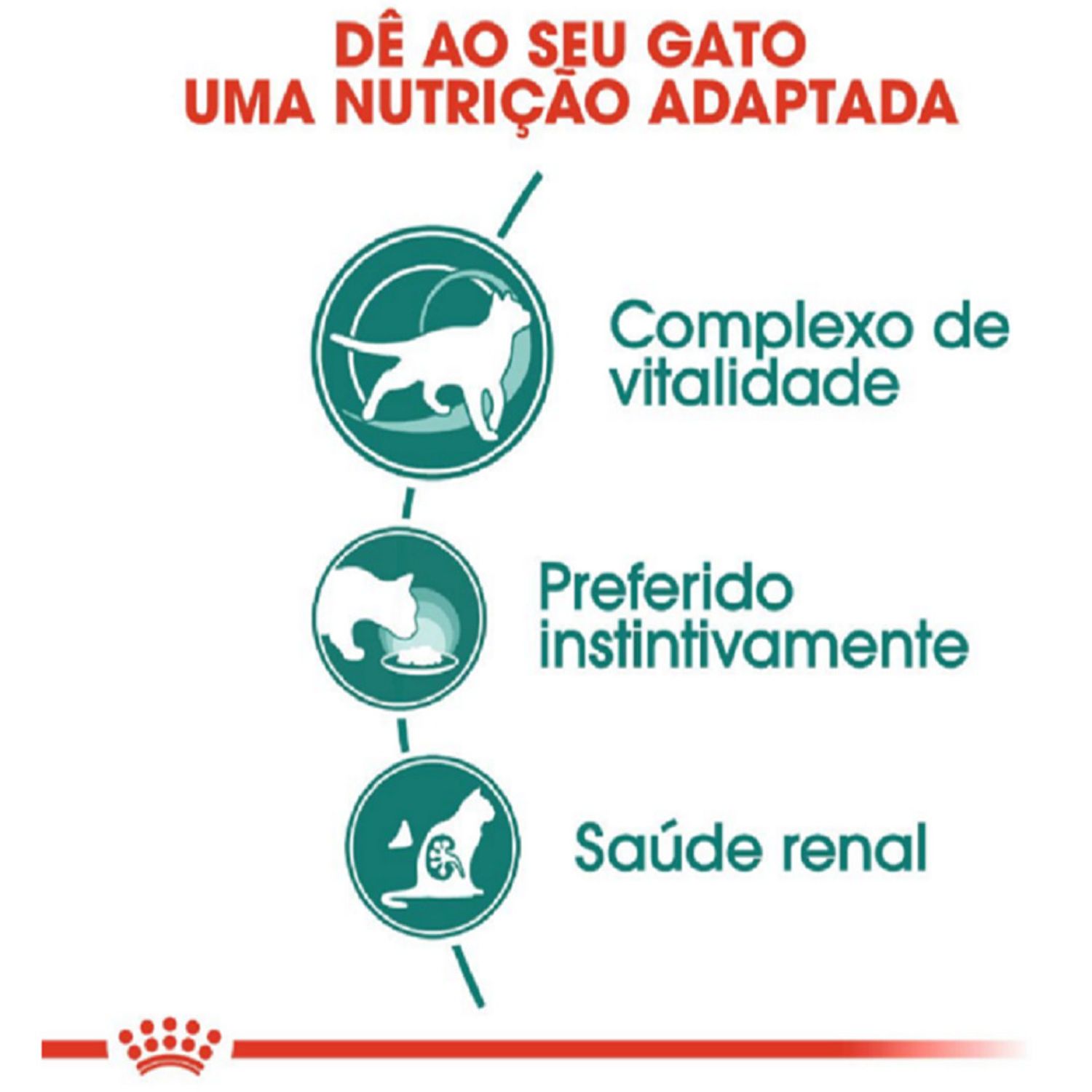 Racao-Umida-Royal-Canin-Instinctive-7---Gatos-Adultos-Nutricao-Adaptada