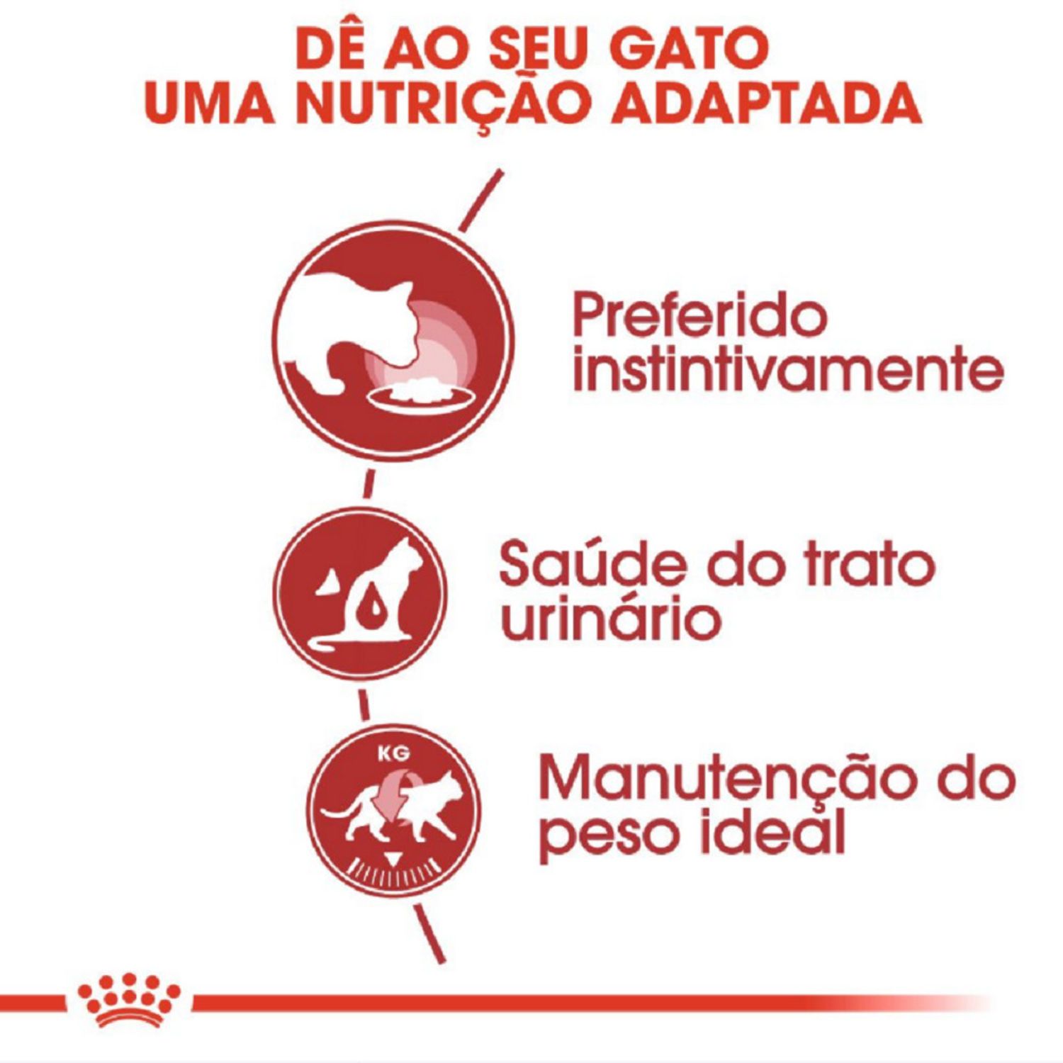 racao-umida-royal-canin-instinctive-gatos-adultos-beneficios-