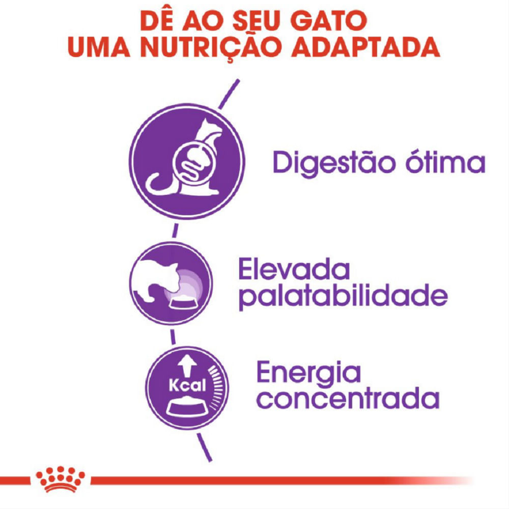 Ração Royal Canin Sensible Gatos Adultos