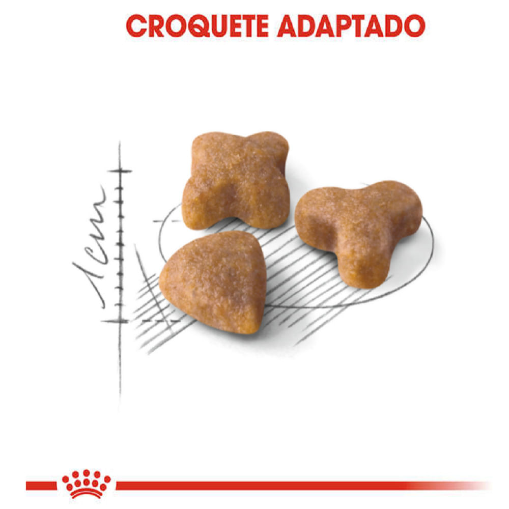 Ração Royal Canin Sensible Gatos Adultos
