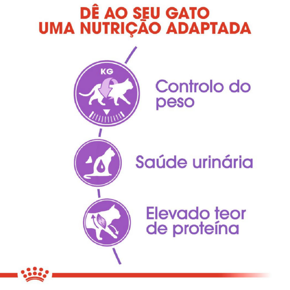 Ração Royal Canin Gatos Adultos Castrados