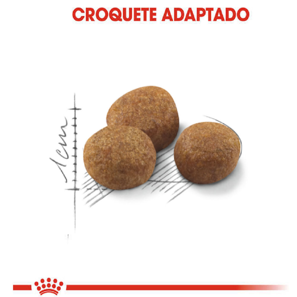 Ração Royal Canin Castrados 7+ Gatos Adultos