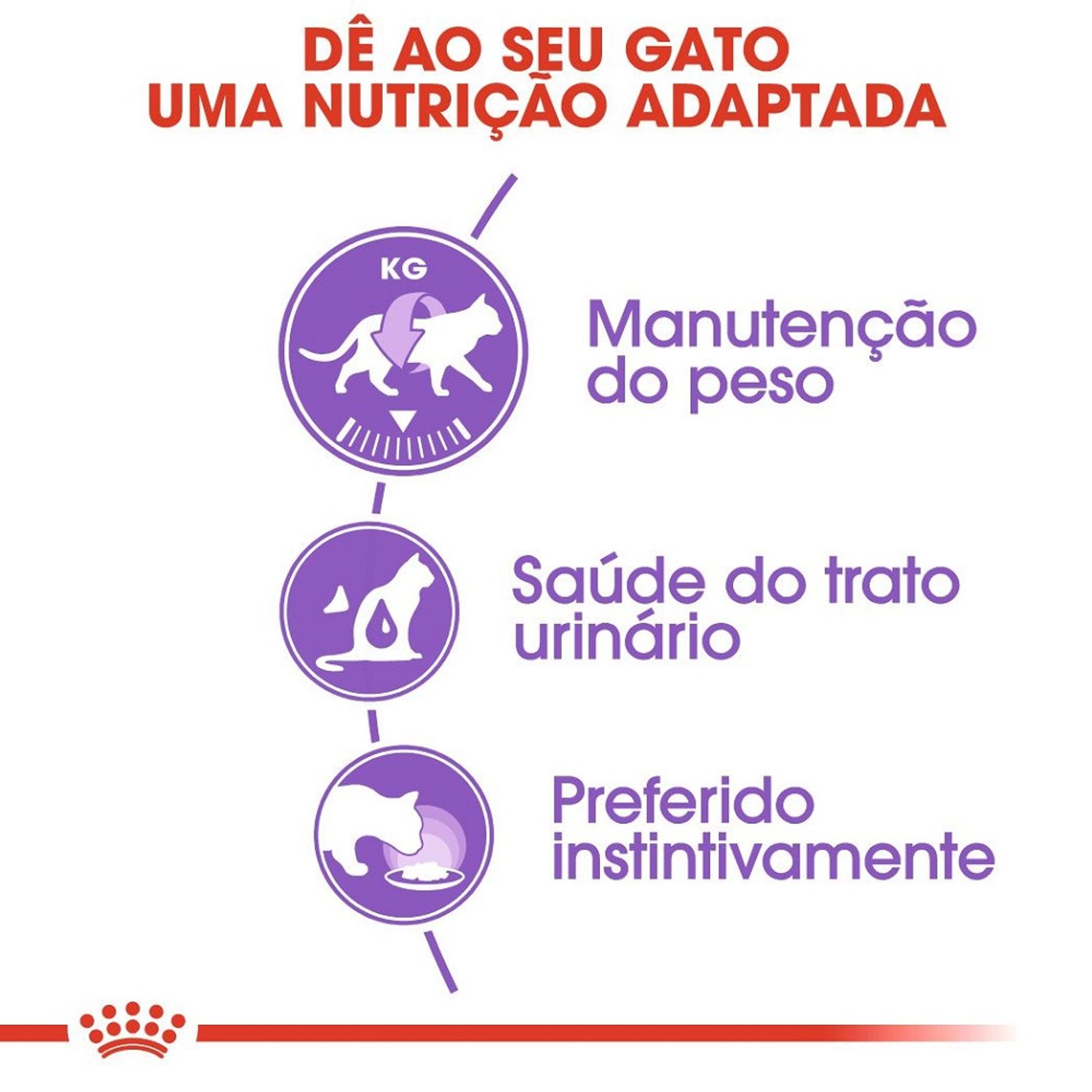 Ração Úmida Royal Canin Castrados Patê Gatos Adultos Benefícios