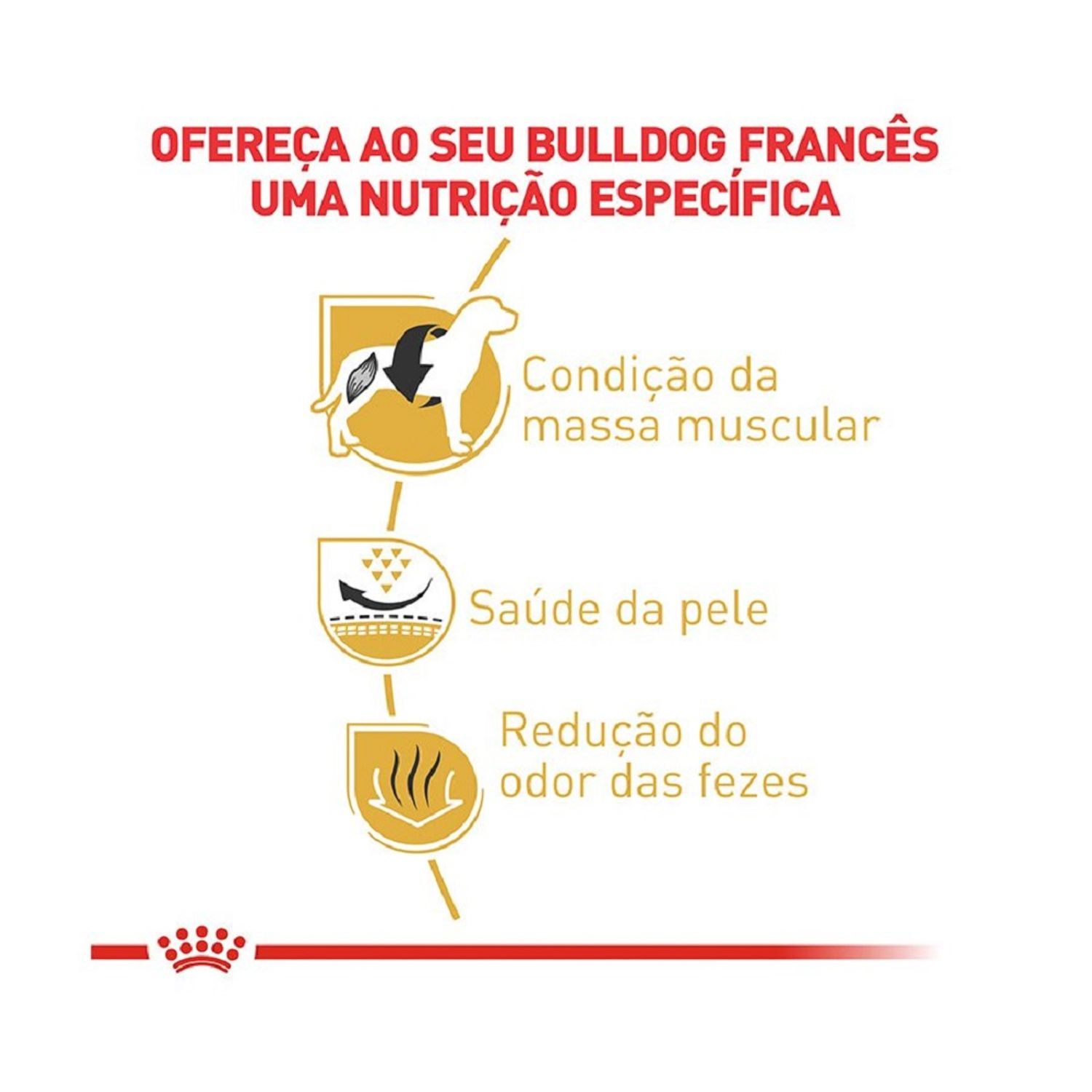 ração royal canin bulldog francês cães adultos benefícios