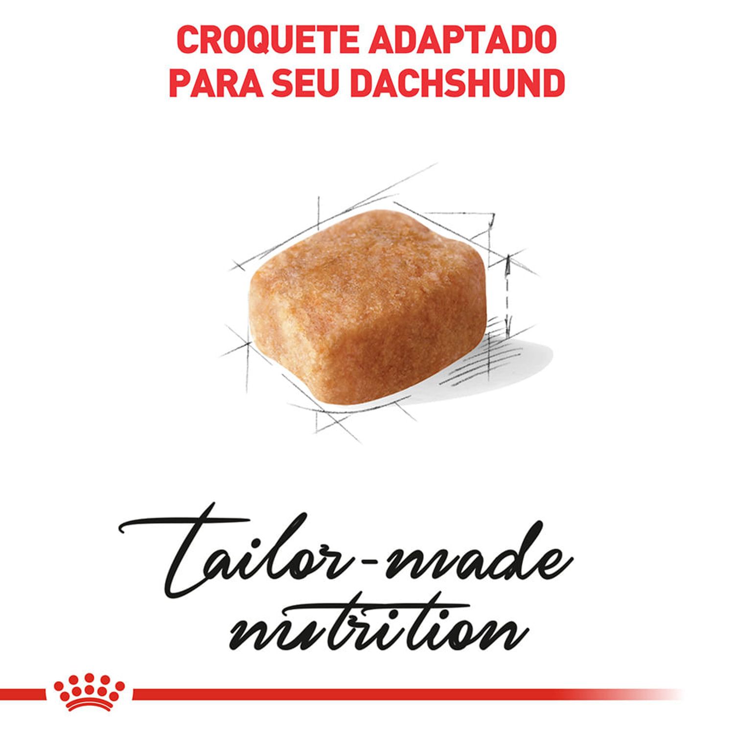 Ração Royal Canin Dachshund Cães Adultos Croquete adaptado