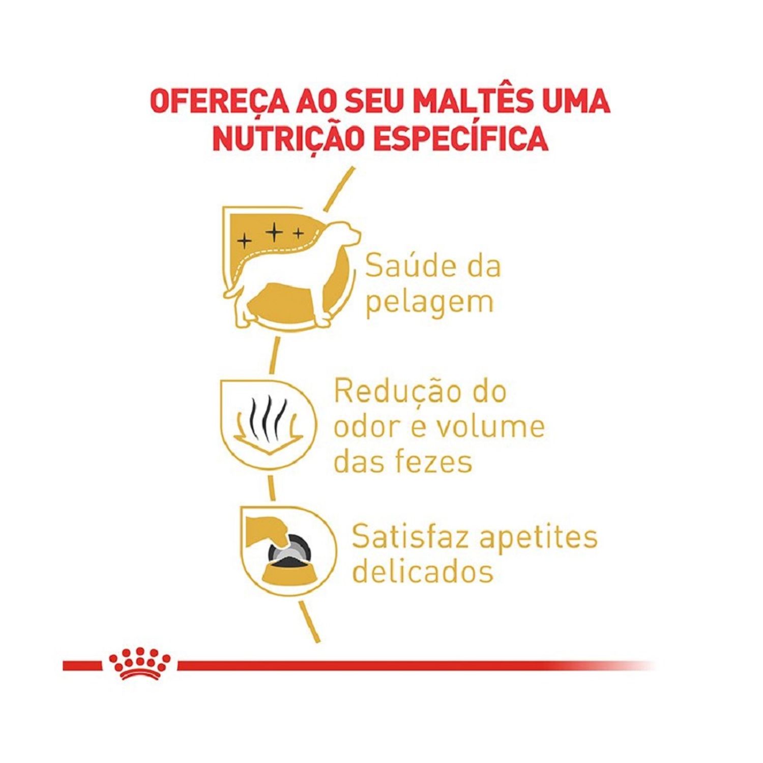 Ração Royal Canin Maltês Cães Adultos Nutrição Específica
