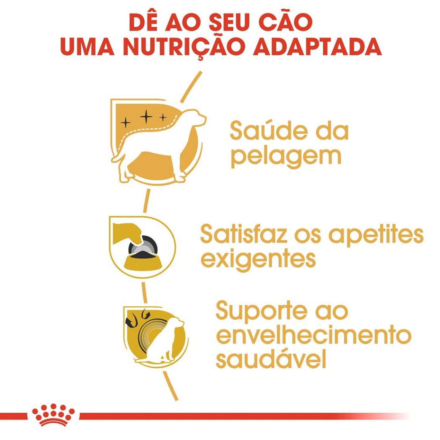 ração royal canin yorkshire cães adultos benefícios