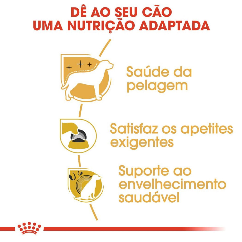 Ração Royal Canin Yorkshire Cães Adultos