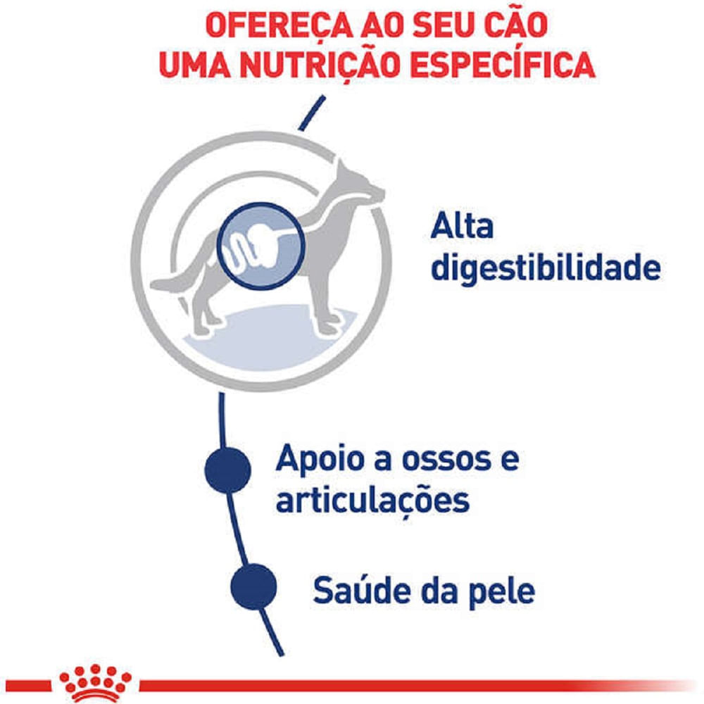 Ração Úmida Royal Canin Sachê Maxi Adult Cães Adultos